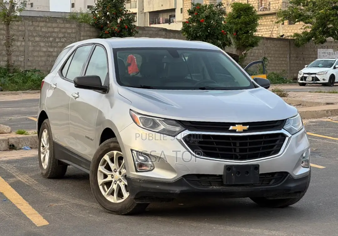 Chevrolet Equinox 2018 Gris