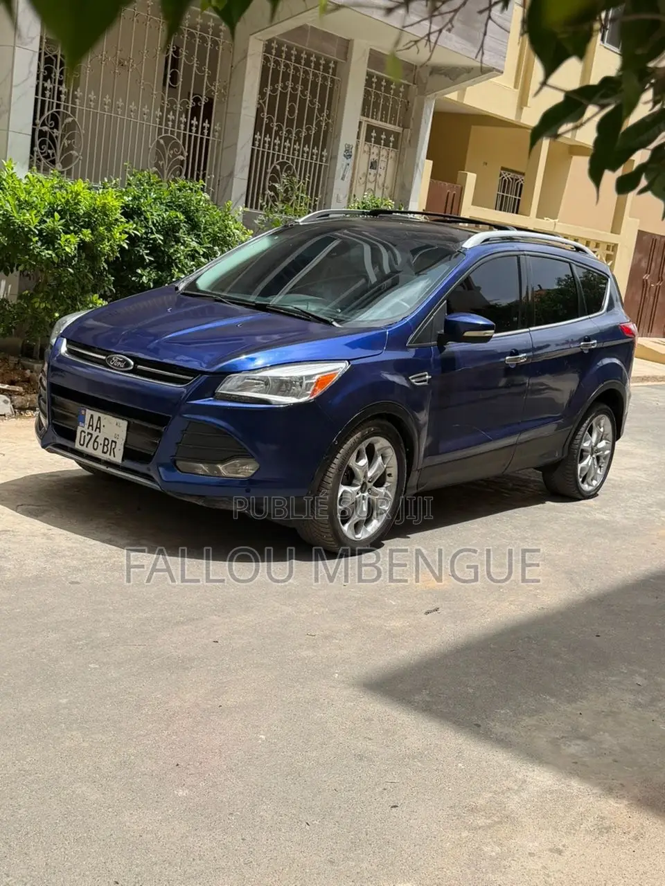 Ford Escape 2014 Bleu