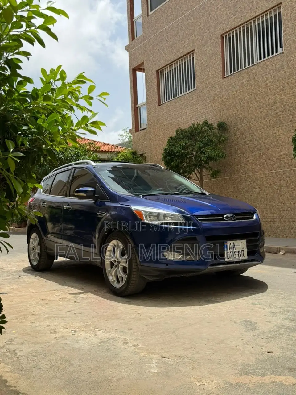 Ford Escape 2014 Bleu