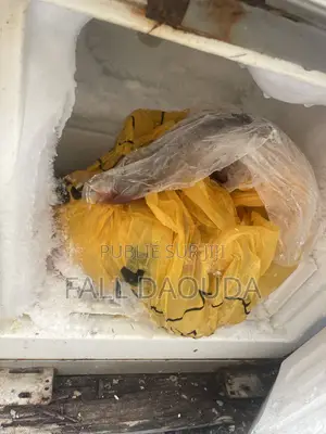 Frigo À Vendre