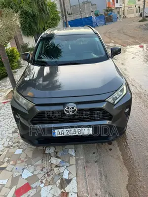 Toyota RAV4 2020 Gris
