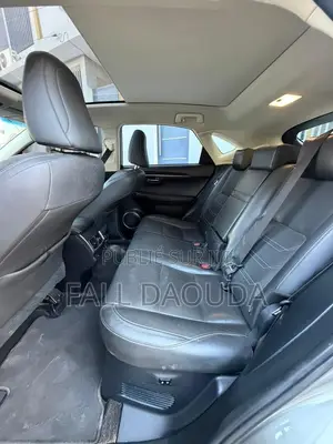 Lexus RX 2018 Gris