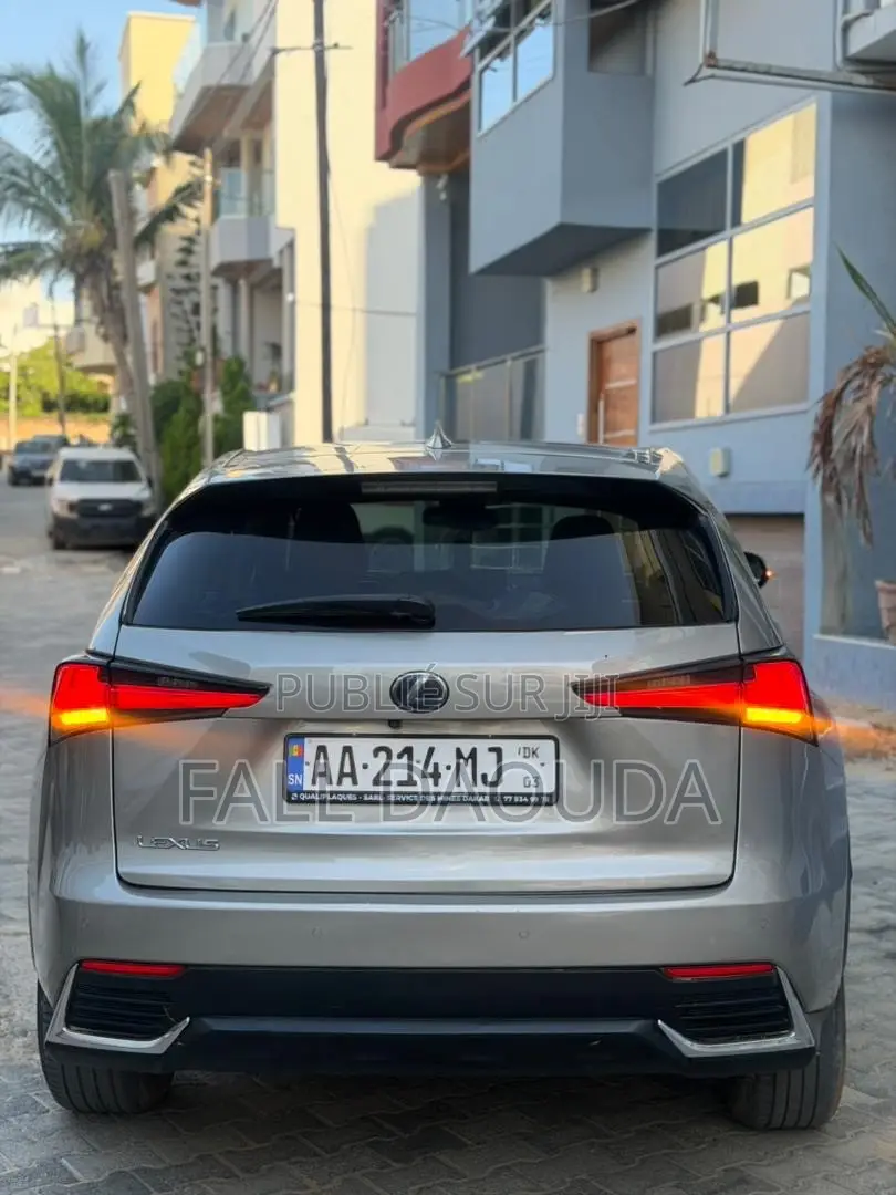 Lexus RX 2018 Gris