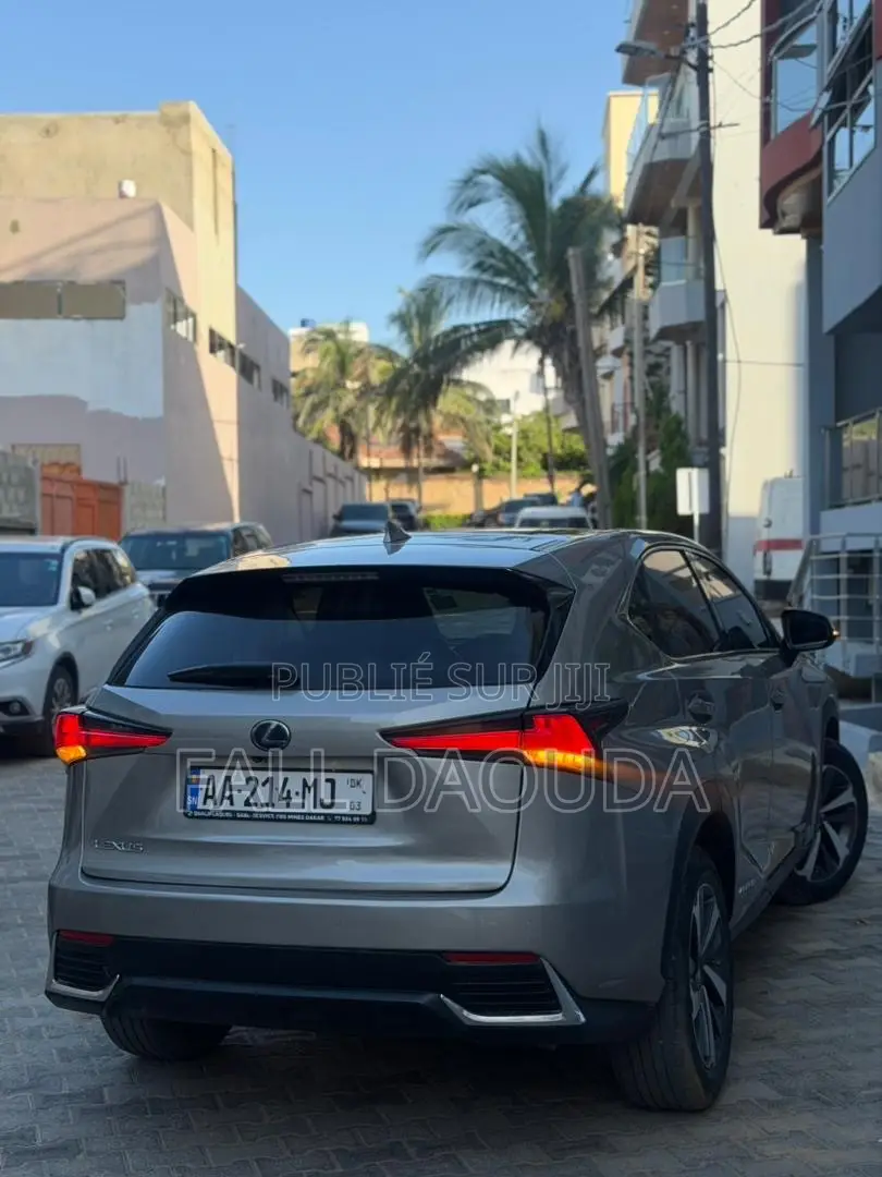 Lexus RX 2018 Gris