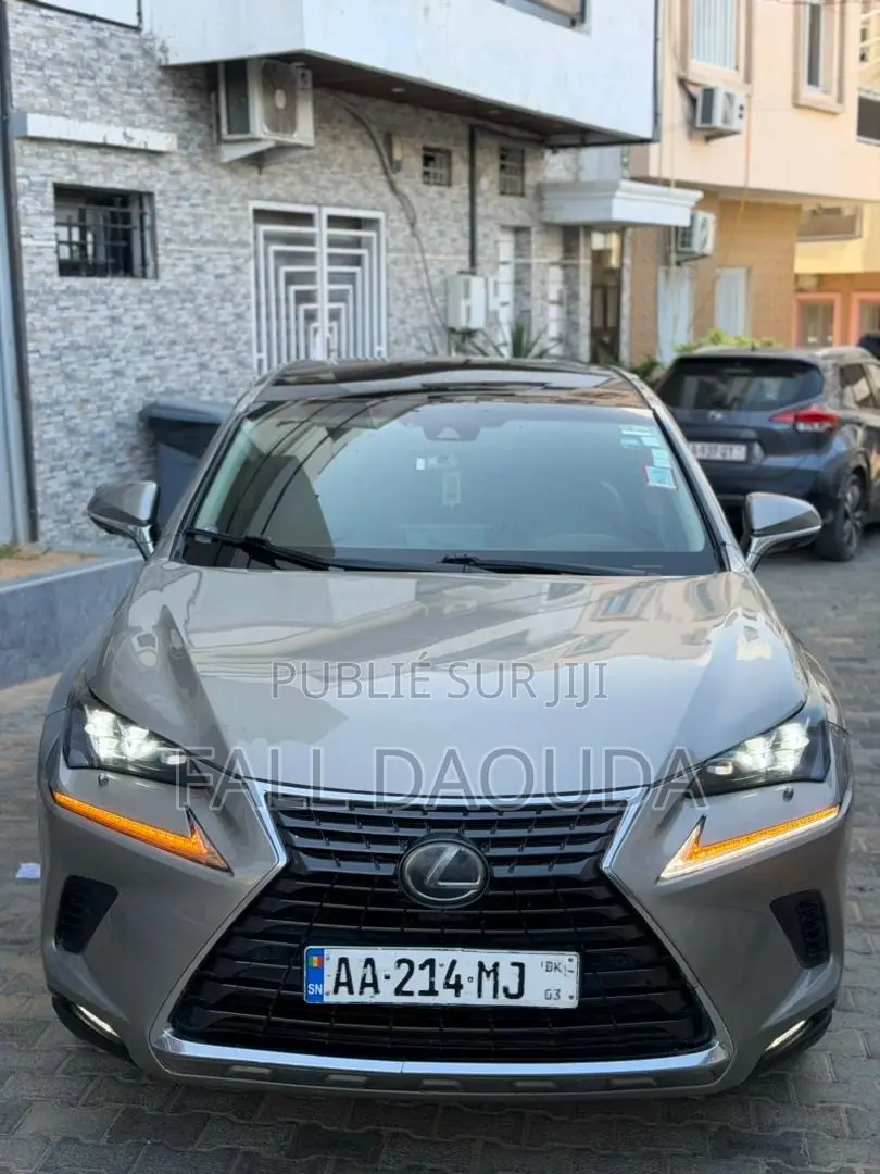 Lexus RX 2018 Gris