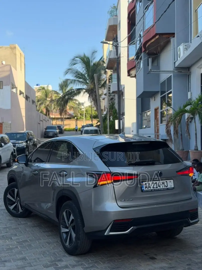 Lexus RX 2018 Gris
