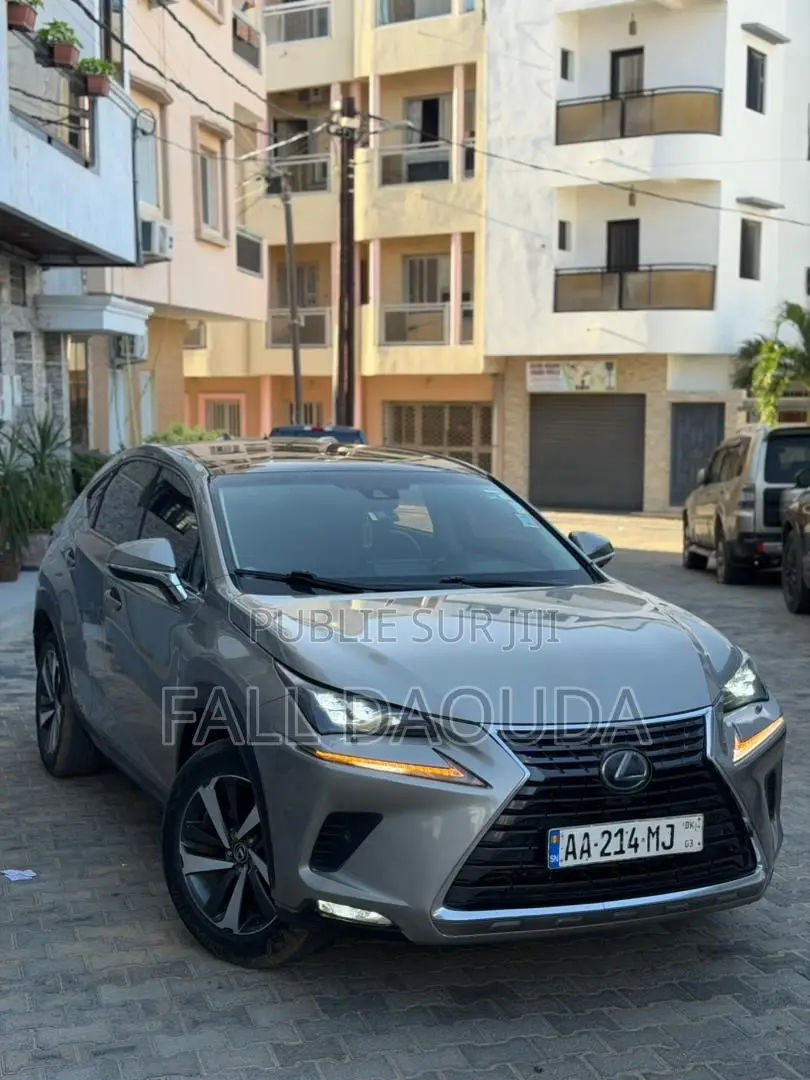 Lexus RX 2018 Gris