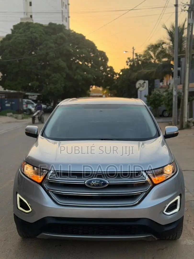 Ford Edge 2018 Gris