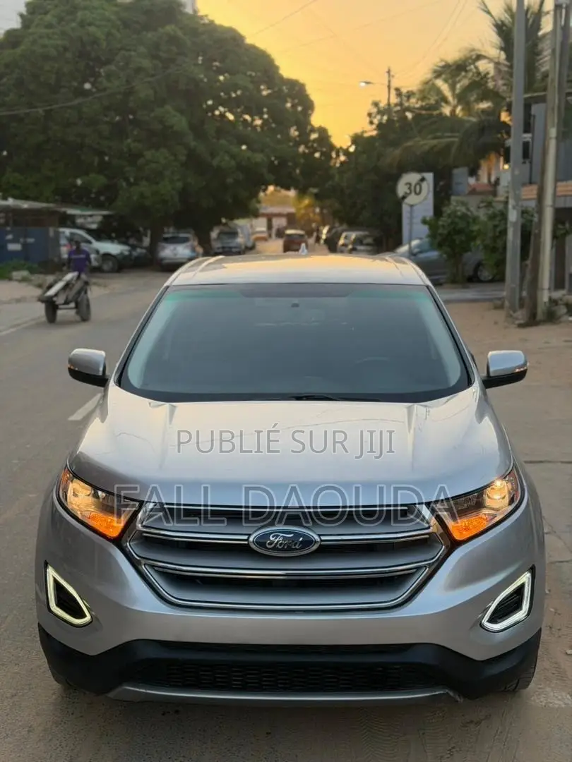 Ford Edge 2018 Gris