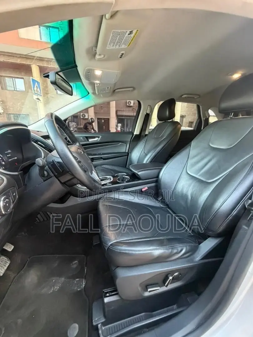 Ford Edge 2018 Gris