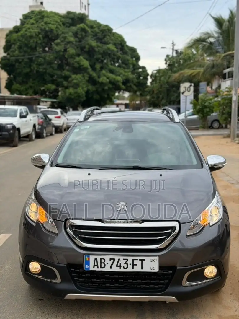 Peugeot 2008 2018 Gris