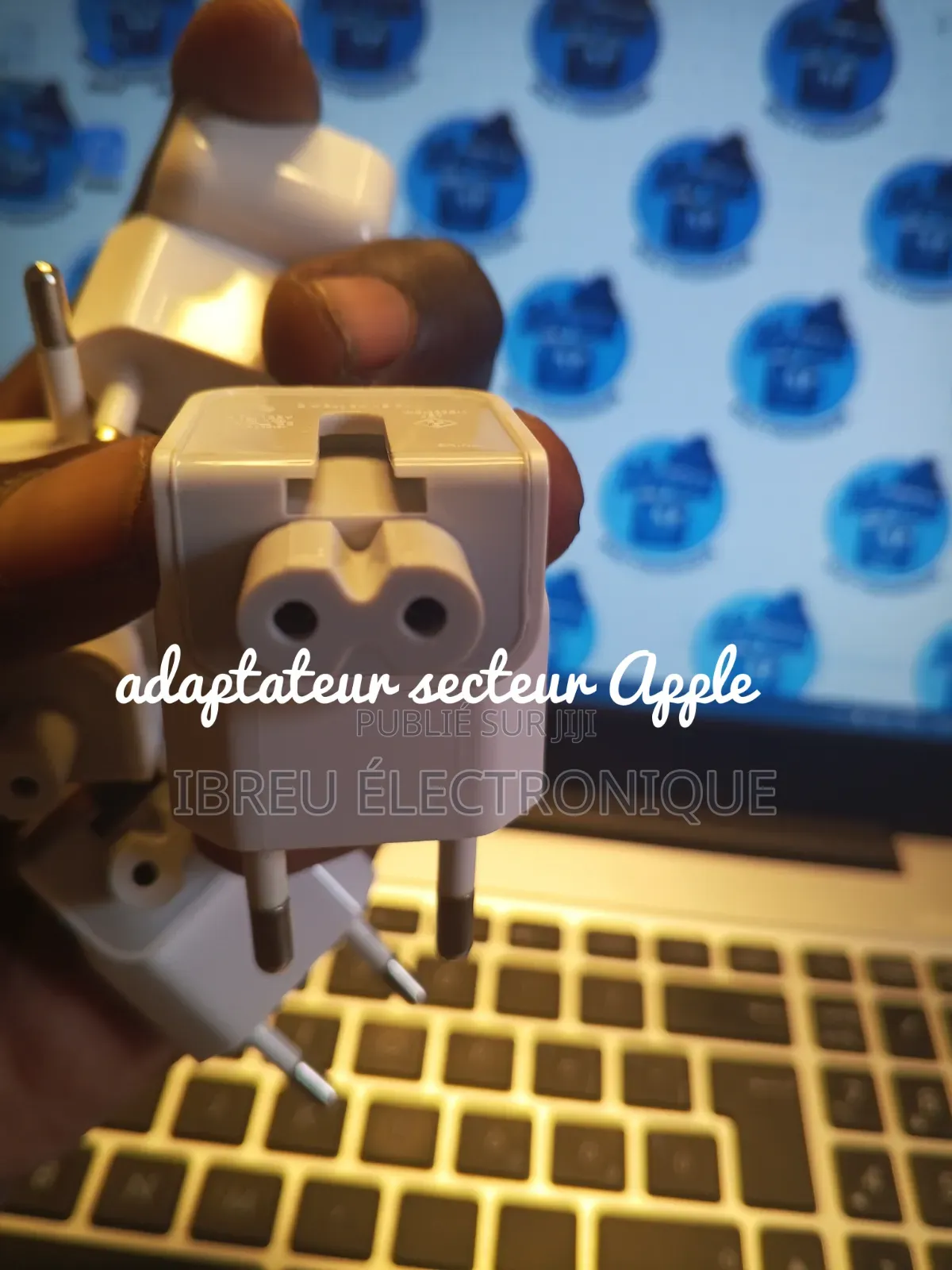 Adaptateur Secteur Pour Chargeur APPLE