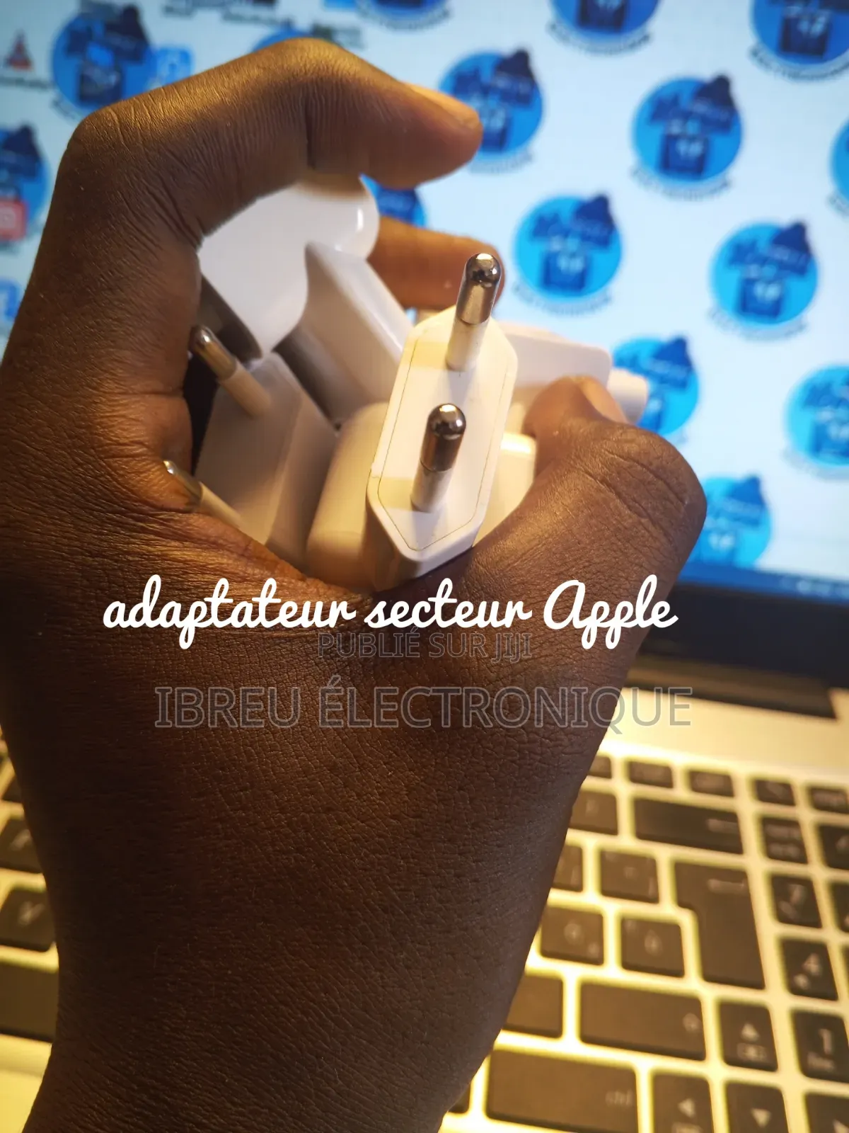 Adaptateur Secteur Pour Chargeur APPLE