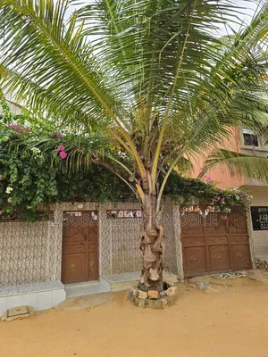 4chbre Villa dans Saly, Mermoz Sacré-Cœur à Vendre