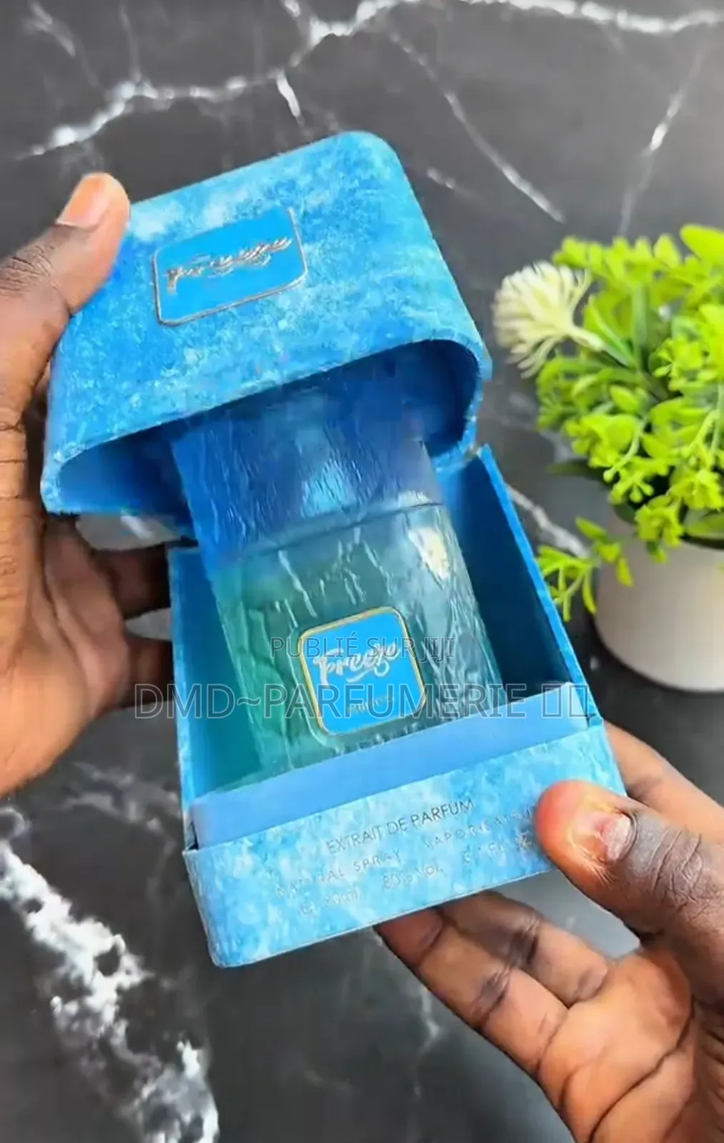 Freeze Pardum