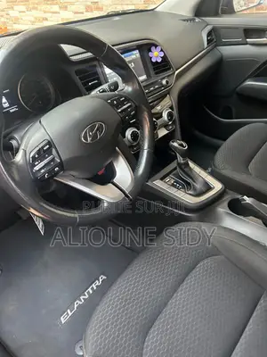 Hyundai Elantra 2019 Rouge