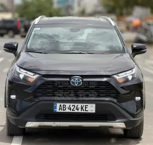 Toyota RAV4 2024 Gris