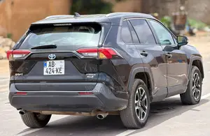 Toyota RAV4 2024 Gris