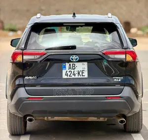 Toyota RAV4 2024 Gris