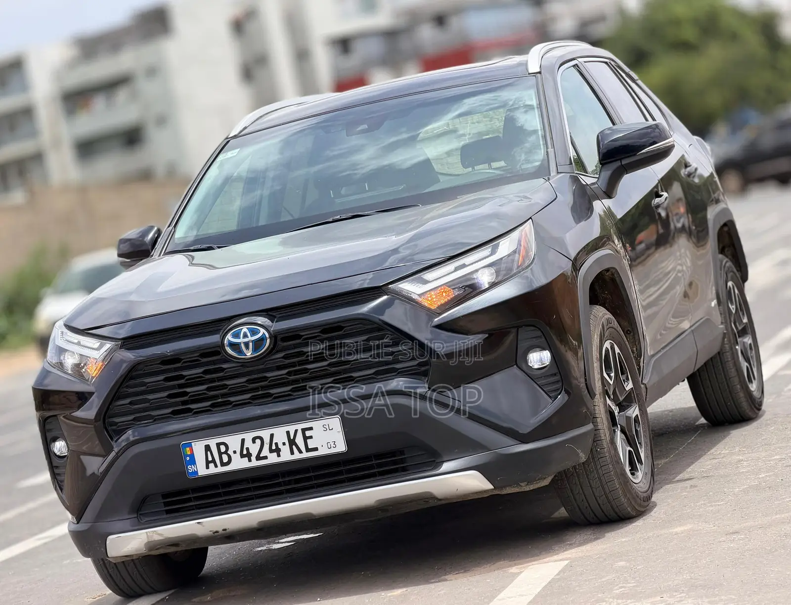 Toyota RAV4 2024 Gris