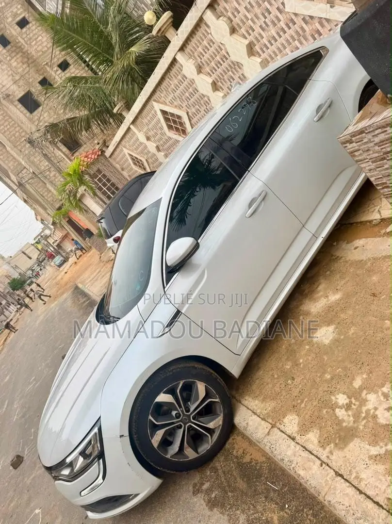 Renault 6 2019 Blanc