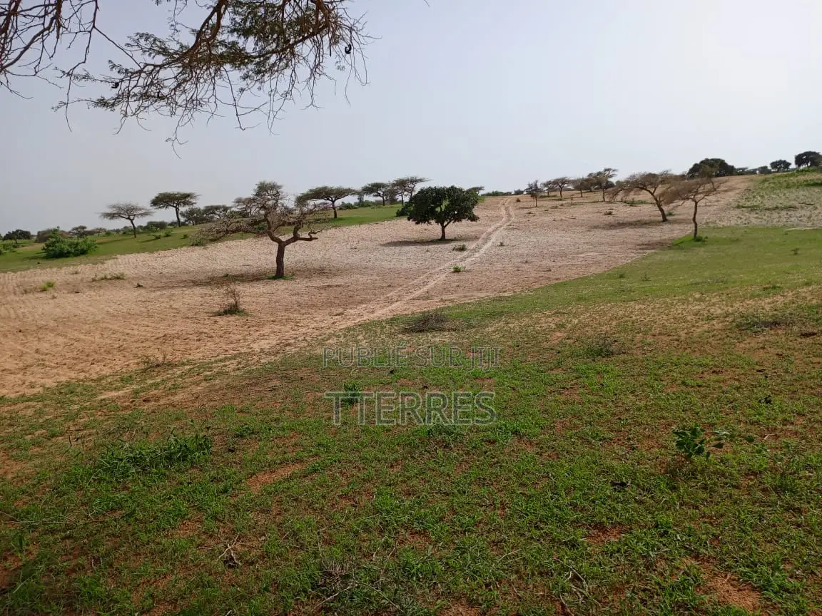 1,80 Hectare De Terre Agricole Vers Thiéppe - Kébémer