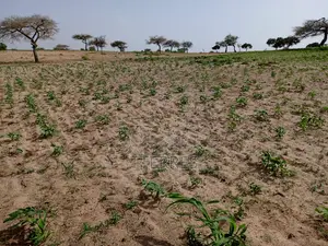 1,80 Hectare De Terre Agricole Vers Thiéppe - Kébémer