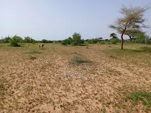 1,63 Hectare De Terre Agricole Vers Thiéppe - Kébémer