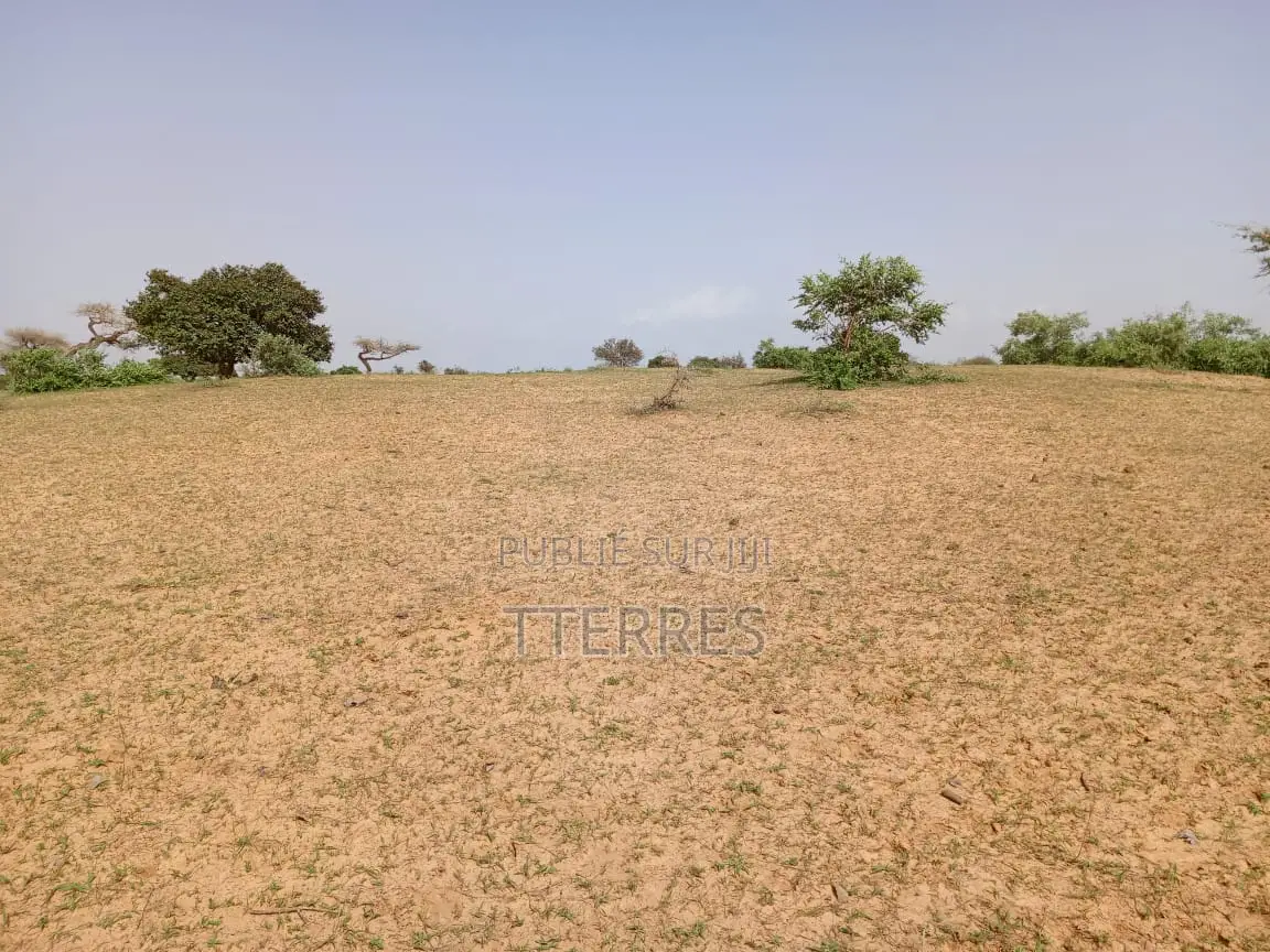 1,63 Hectare De Terre Agricole Vers Thiéppe - Kébémer