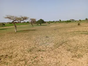1,63 Hectare De Terre Agricole Vers Thiéppe - Kébémer