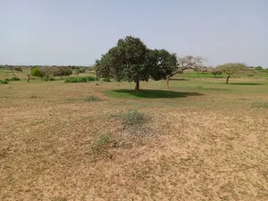 1,63 Hectare De Terre Agricole Vers Thiéppe - Kébémer
