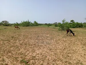 1,63 Hectare De Terre Agricole Vers Thiéppe - Kébémer