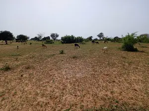 1,63 Hectare De Terre Agricole Vers Thiéppe - Kébémer