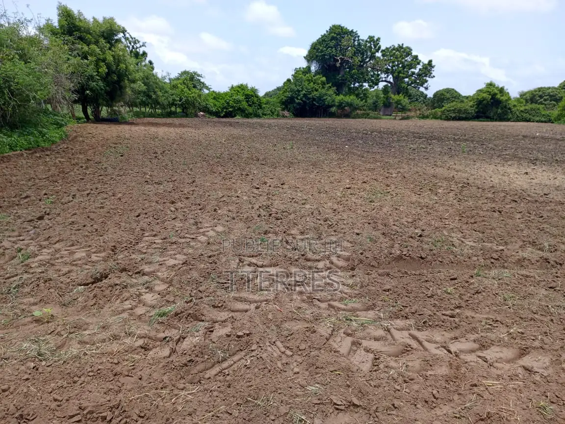 Terrain De 7 197 M2 À Usage Résidentiel Vers Diamniadio