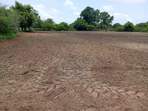 Terrain De 7 197 M2 À Usage Résidentiel Vers Diamniadio