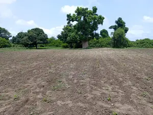Terrain De 7 197 M2 À Usage Résidentiel Vers Diamniadio