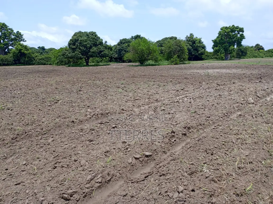 Terrain De 7 197 M2 À Usage Résidentiel Vers Diamniadio