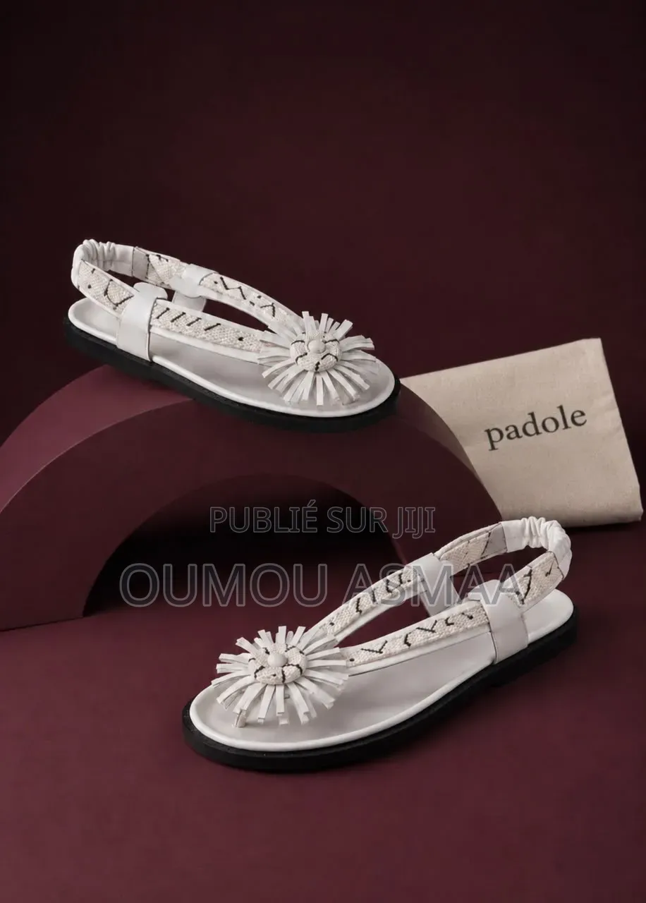 Chaussures Femme Élégantes Plusieurs Modèles