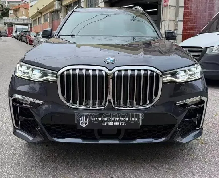 BMW X7 2021 Gris