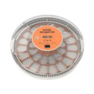 Couveuse Automatique Capacité 30 Oeufs