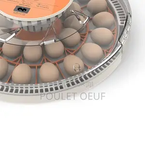Couveuse Automatique Capacité 30 Oeufs
