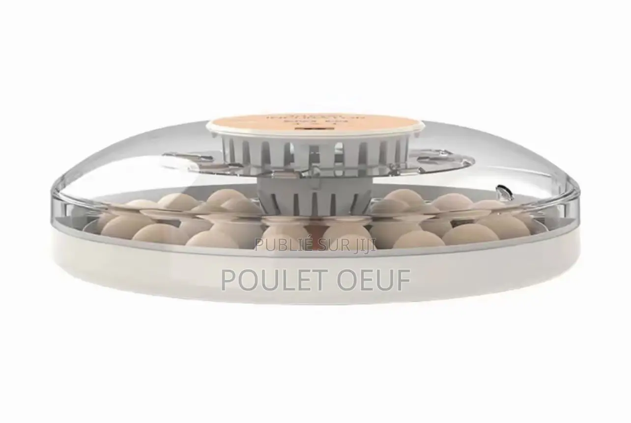 Couveuse Automatique Capacité 30 Oeufs
