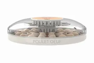 Couveuse Automatique Capacité 30 Oeufs