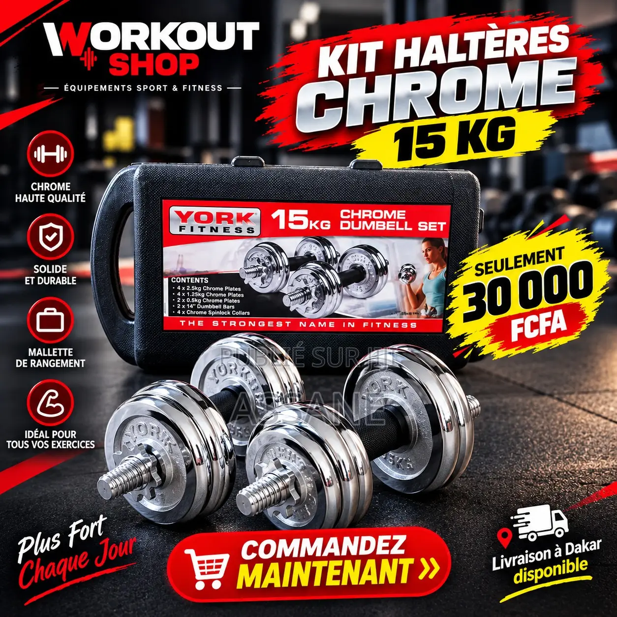 Kit 15kg Haltéres