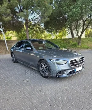 Mercedes-Benz S-Class 2022 Gris