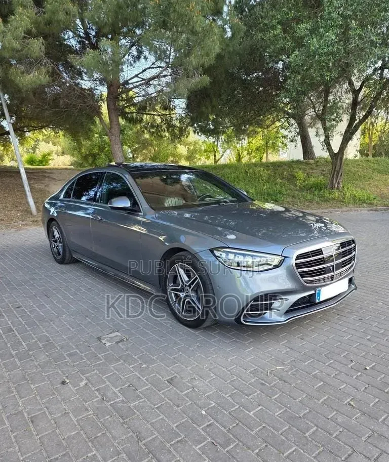 Mercedes-Benz S-Class 2022 Gris