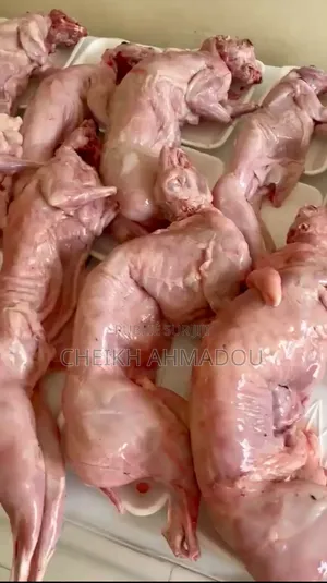 Viande De Lapin