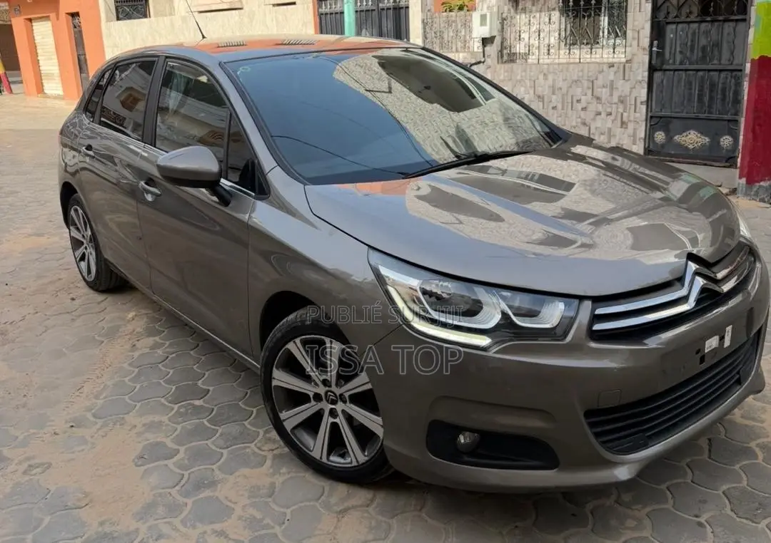 Citroen C4 2017 Gris