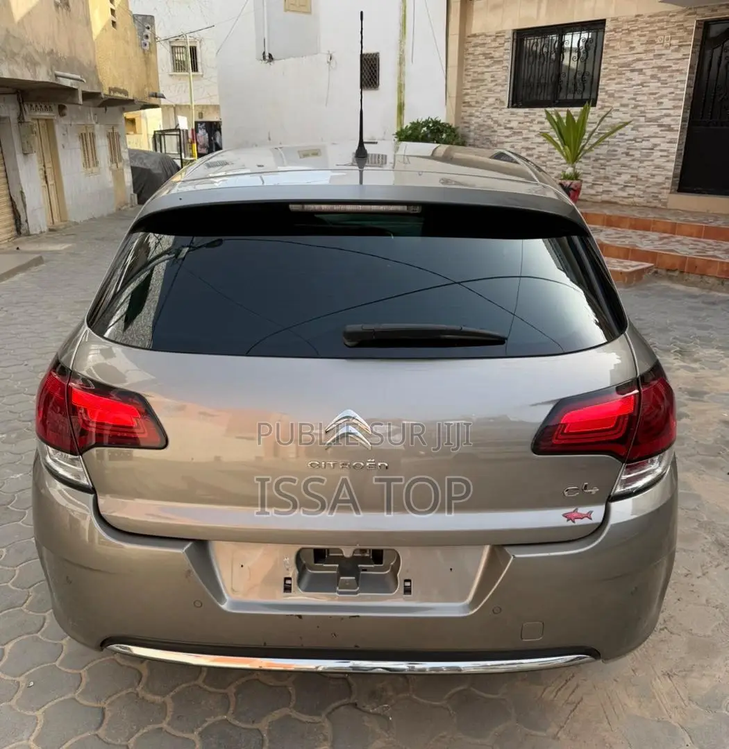 Citroen C4 2017 Gris
