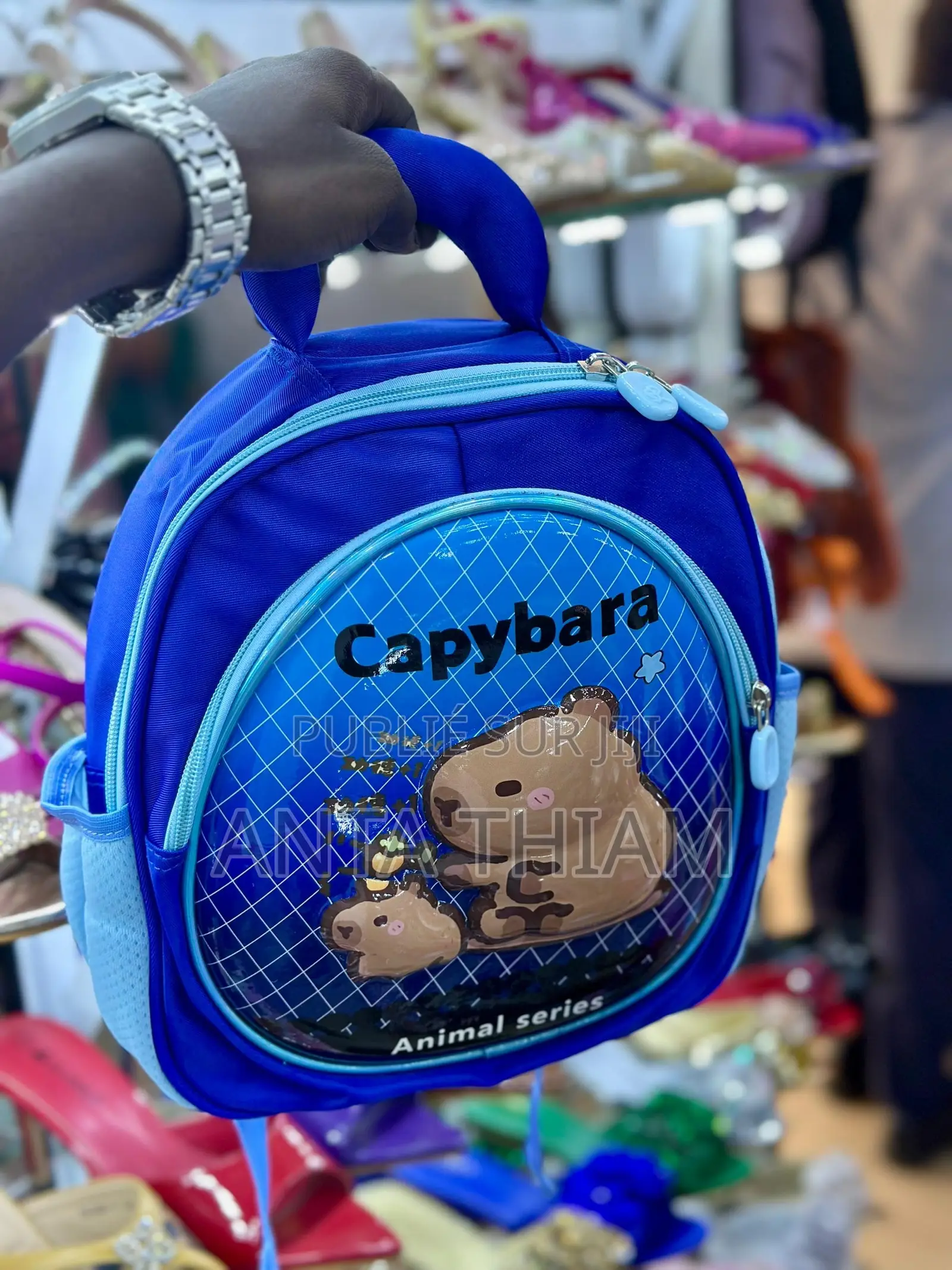 Différent Modèle Sacs